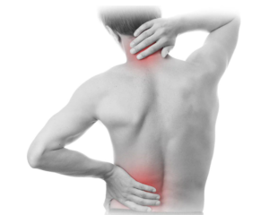 Chiropractor near Mt Pleasant SC