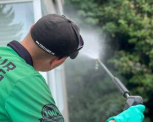 Commercial Window Cleaning in Puyallup WA